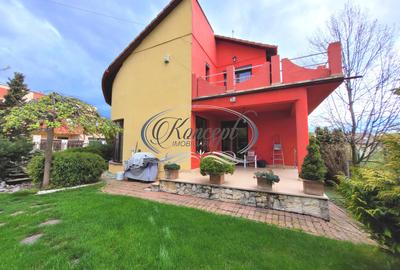 Proprietate eleganta cu gradina generoasa si acces facil Europa - 3