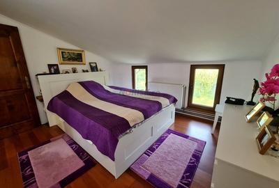 Vila + Afacere 15.000mp Clinceni - 21