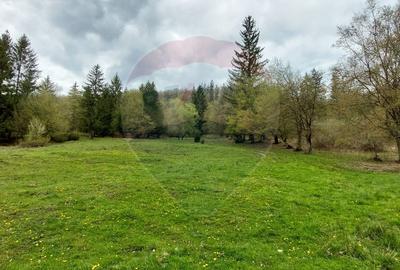 Poienita 2800mp, Covasna, zona hotel Clermont, inconjurat de padure - 13