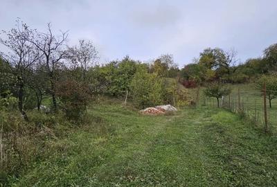 0 % comision, Lot format din 3 parcele de teren, zona Antonio Gaudi - 11