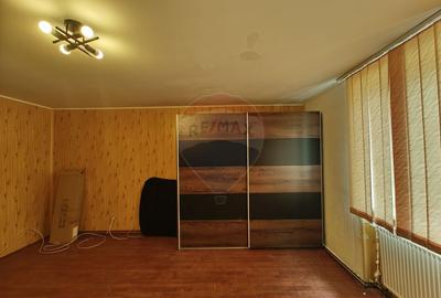 Casa de vanzare cu teren de 2175 mp,anexe si livada generoasa | Mailat - 26