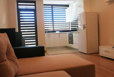 Apartament 1 camera ultramodern Copou - Bloc nou 2015 - 11