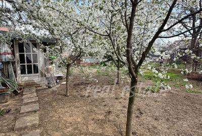 Casă 3 camere + pod mansardabil | teren 538 mp | Snagov | acces rapid DN1 - 24