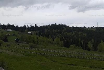 Teren extravilan de 14485 mp, în Iacobeni