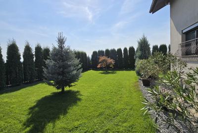 Casa de Vis, Serbanesti - 2