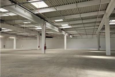 Spatiu Industrial - 9500 mp - Logistica - Productie - Depozitare - Distributie - 5