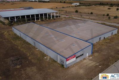 Inchiriere sau vânzare hală Banat Business Park - 2