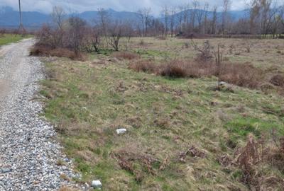 Teren intravilan 586mp, spre vanzare pe Valea Avrigului - 1