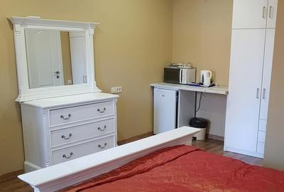 Oportunitate investitie! Apartament, 33mp, zona strazii Bucuresti - 2