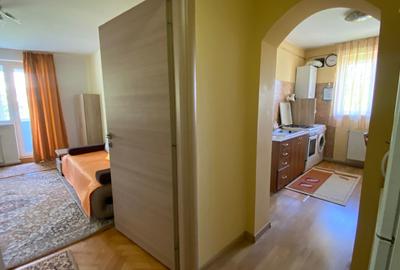 Apartament cu 2 camere decomandate , aproape de Iulius Mall - 11