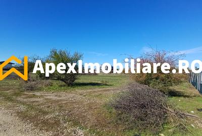 Corbeanca - Tamasi | Teren 1225mp, deschidere 44ml | Utilitati la 50m - 12
