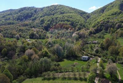 Teren de vanzare langa padure Copalnic Manastur - 5