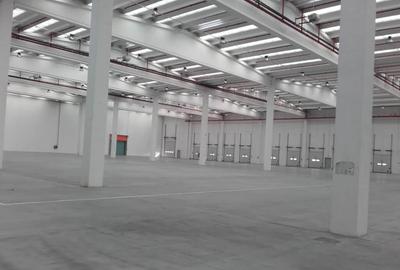 Depozit de inchiriat in CTPark Deva I - 3