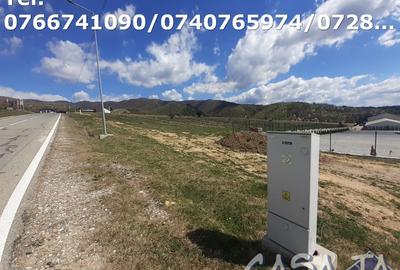 Teren Intravilan(3000mp), Novaci - Ranca - 7
