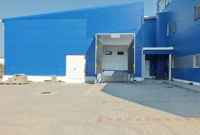 Hala Depozit Logistica - 9