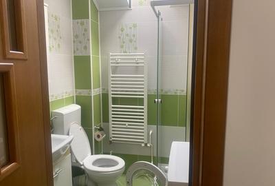 Vila  spațioasă de închiriat în centrul Brașovului - 18