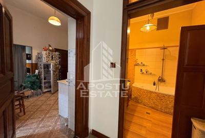 Apartament elegant in palat istoric restaurat, Timisoara Piata Maria - 9