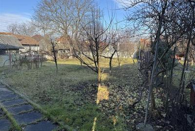 Casa individuala 180 mp utili cu teren 900 mp in Parcul Sub Arini - 12