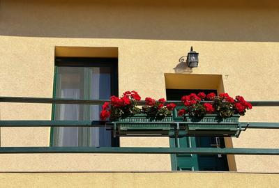 Business la cheie - Proprietate tip pensiune cu rating 9,8/10 Booking - 14