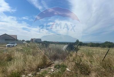 Teren intravilan Golesti / Aleea Lacramioarei - 4