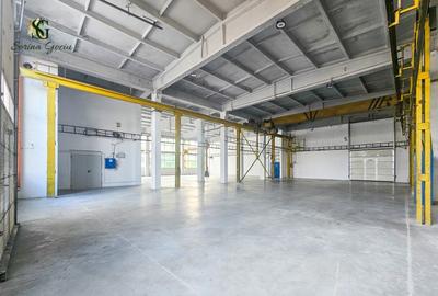 Hala indistriala optimizata pentru activitati de productie, Fagaras, Brasov - 1