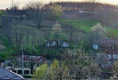 Teren intravilan cu Autorizatie-2260 mp - 1