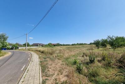 Teren de vanzare in Loc Domnesti - Tudor Vladimirescu - 5