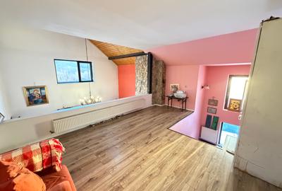 Vila P + M , 4 dormitoare, Traian - 10