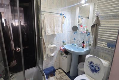 Utvin-Central-Vila S+P+E+M-360mp-2 accese-Garaj - 19