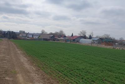 Tâncăbești -Ilfov suprafață 4500 mp - 2