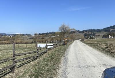 Teren de vânzare  Bucovina - 5