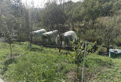 Casa  cu 2180 teren intravilan langa padure zona Popesti - 8