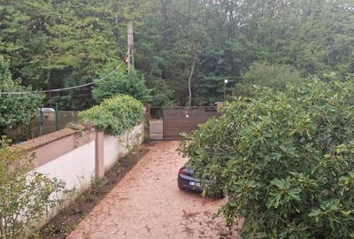 Inchiriere 30 LEI/PAT/ZI -Motel Snagov - 10