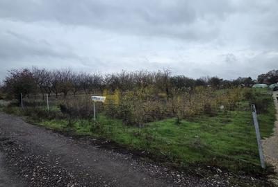 Teren Aleea Viilor Adunatii Copaceni - 3