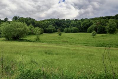 Teren la pădure, panoramic dealuri si păduri, curent si asfalt - 11