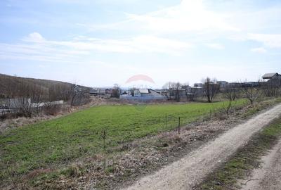 Teren 3,500mp Moara / Strada Pprincipala - 1