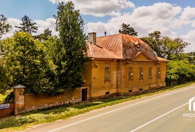 Vila Conac boieresc contelui Fabia 1920 de vânzare Păuliș Arad 2,4 ha - 2