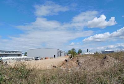 Teren  intravilan Stefanestii de Jos - 10.500 mp. - 1