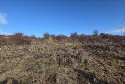 TEREN INTRAVILAN 590 MP  | 2 FRONTURI 17 MP | ZONA CARTIER  VORONET - 6