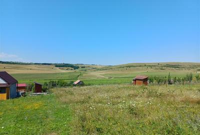 Teren de vânzare pe dealul Sibiu