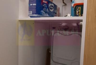 Apartament de 2 camere Corneliu Coposu, prima inchiriere - 16