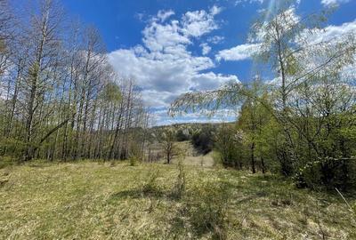TEREN EXTRAVILAN | 103.000mp | BALANACA-GROSI | PASUNE | PASUNE IMPADURITA | BIH - 7