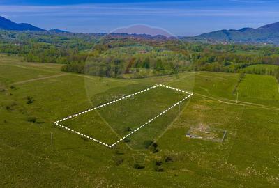Teren 1ha, extravilan Rasnov / Agricultură sau fermă/ COMISION 0% - 2