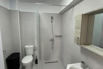 Apartament 2 camere de inchiriat Otopeni - 6