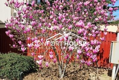 Vila D+P+E+M, teren 898mp, piscina, IANCU NICOLAE-Cambridge School - 6