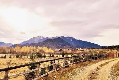 Teren de vânzare, 1433mp Rasnov Glajerie - 1