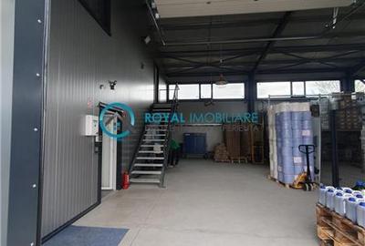 Royal Imobiliare - Vanzare spatiu industrial in zona Paulesti - 20