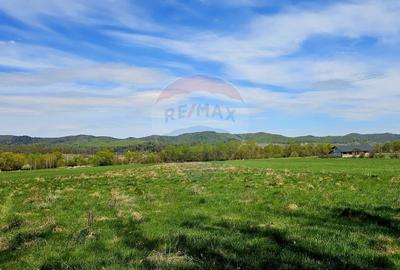 Teren 10,000mp Nemtisor / DJ 155C - 2