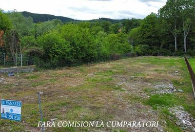 TEREN 2153 MP, BUJORENI - DESCHIDERE LA DN7 - 4