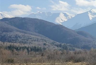 Teren intravilan 2500mp  pe Valea Avrigului,optim casa de vacanta - 11